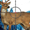 sniper stag hunter